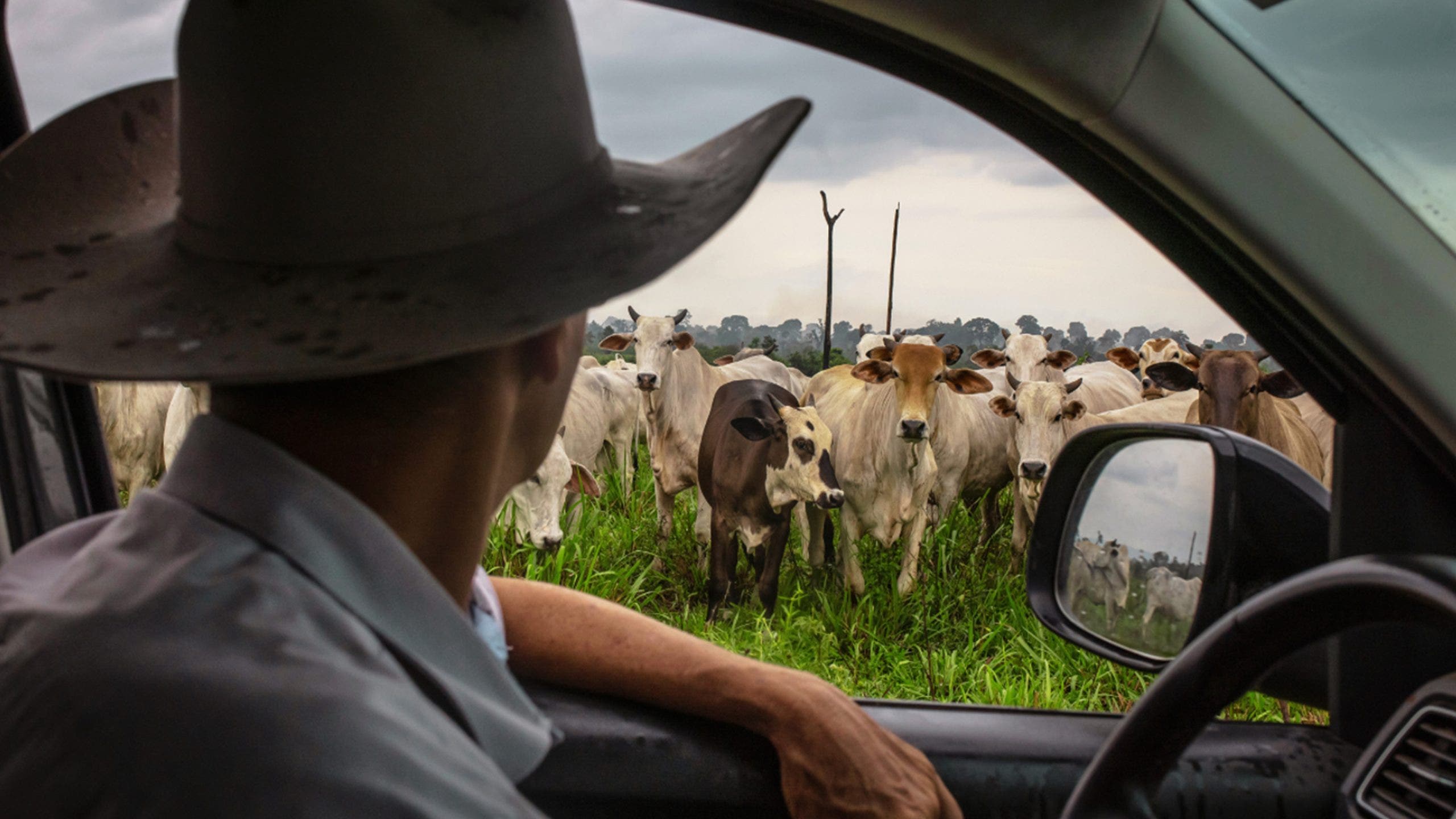 The surprising reason why Americans could face high beef prices for years