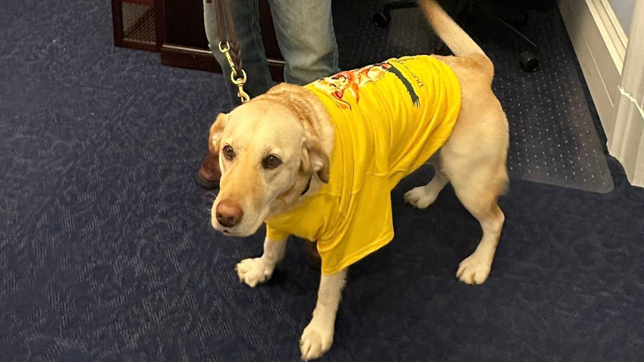 Congressman Randy Fine brings his dad’s seeing-eye-dog Sadie to State of the Union amid backlash over X post