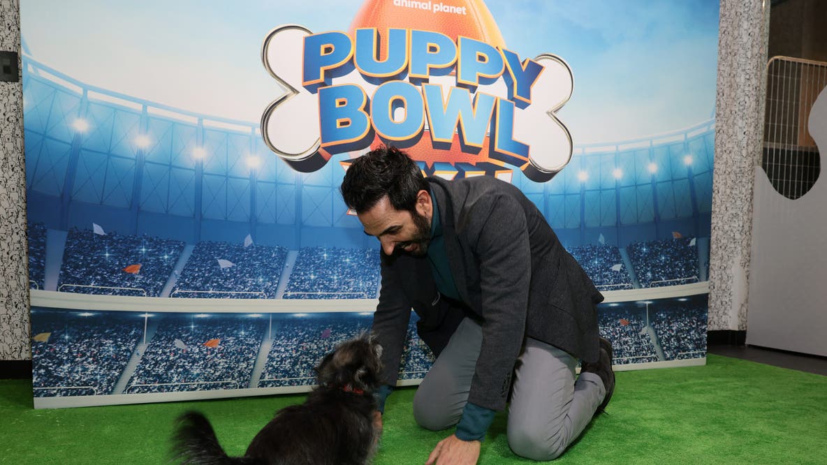 Puppy Bowl 2026: How to watch the cutest day in football