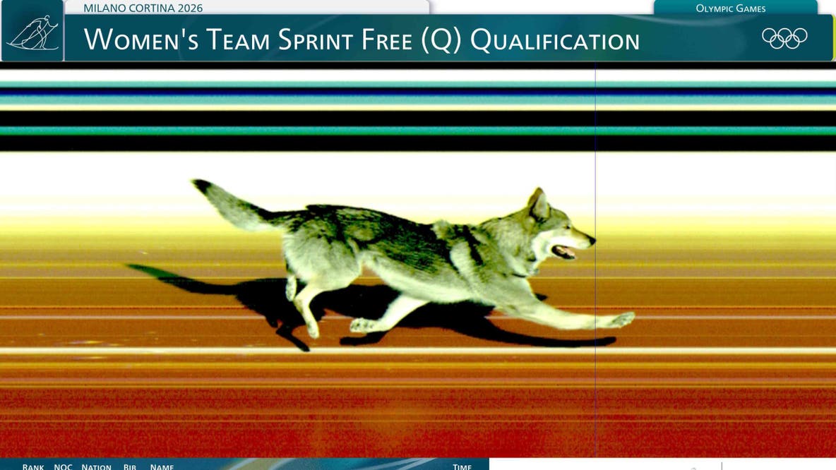 Photos: Wolfdog joins race, crosses finish line at Olympic ski event