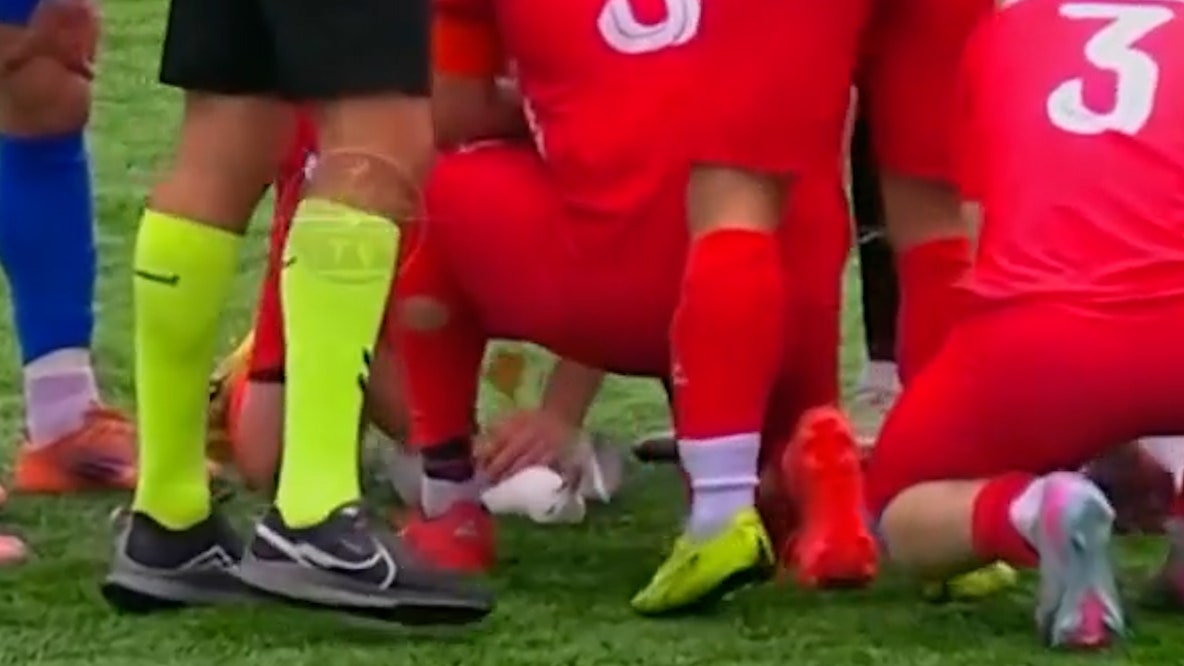 Watch: Soccer players rush to help seagull struck by ball mid-flight