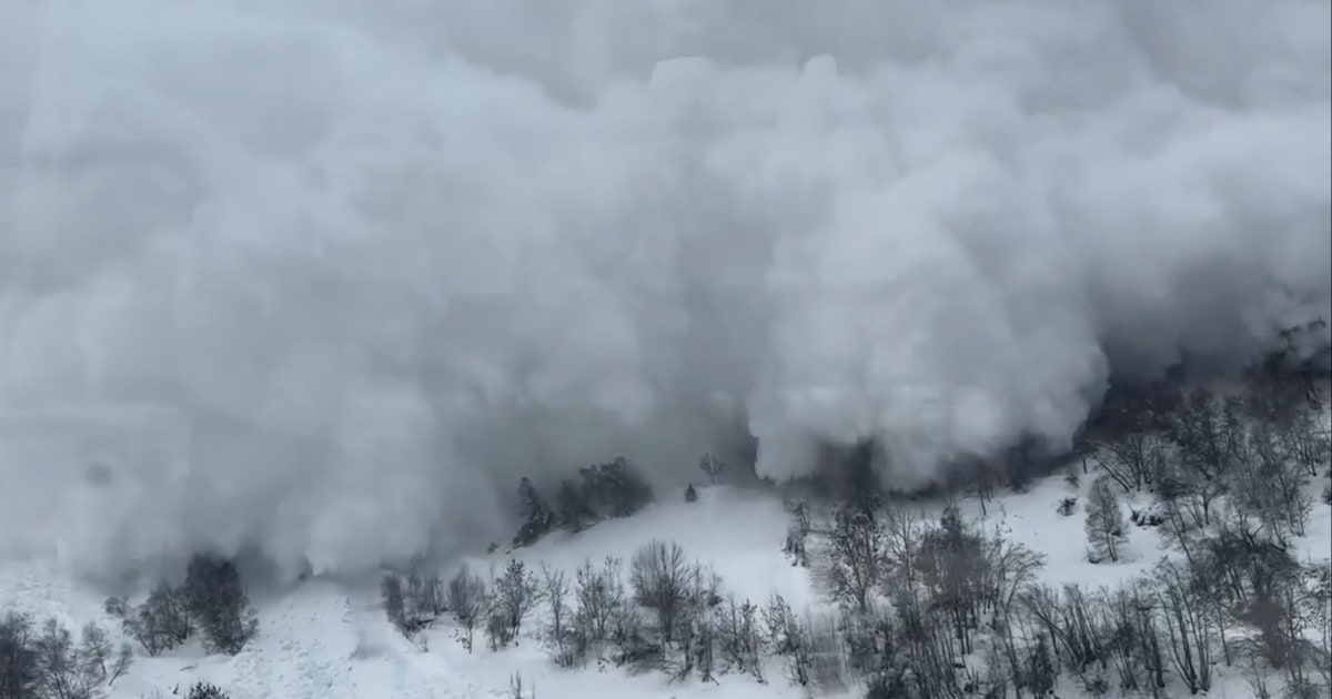 Video shows terrifying moment when avalanche collides with moving train
