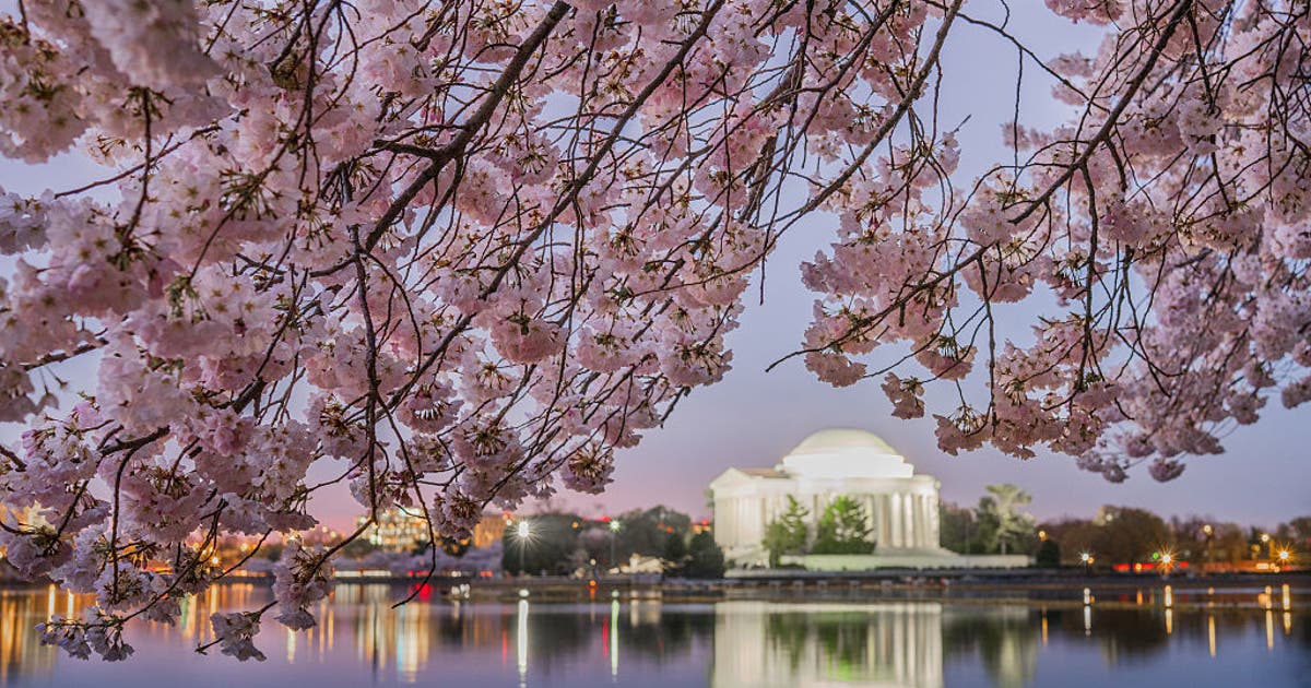 Spring 2026: What does The Old Farmer’s Almanac forecast for your area?