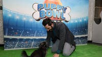 Puppy Bowl 2026: How to watch the cutest day in football