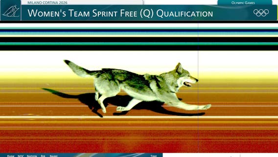 Photos: Wolfdog joins race, crosses finish line at Olympic ski event