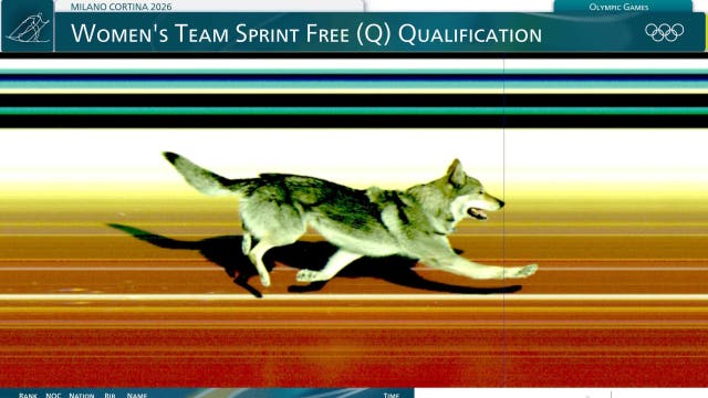 Photos: Wolfdog joins race, crosses finish line at Olympic ski event