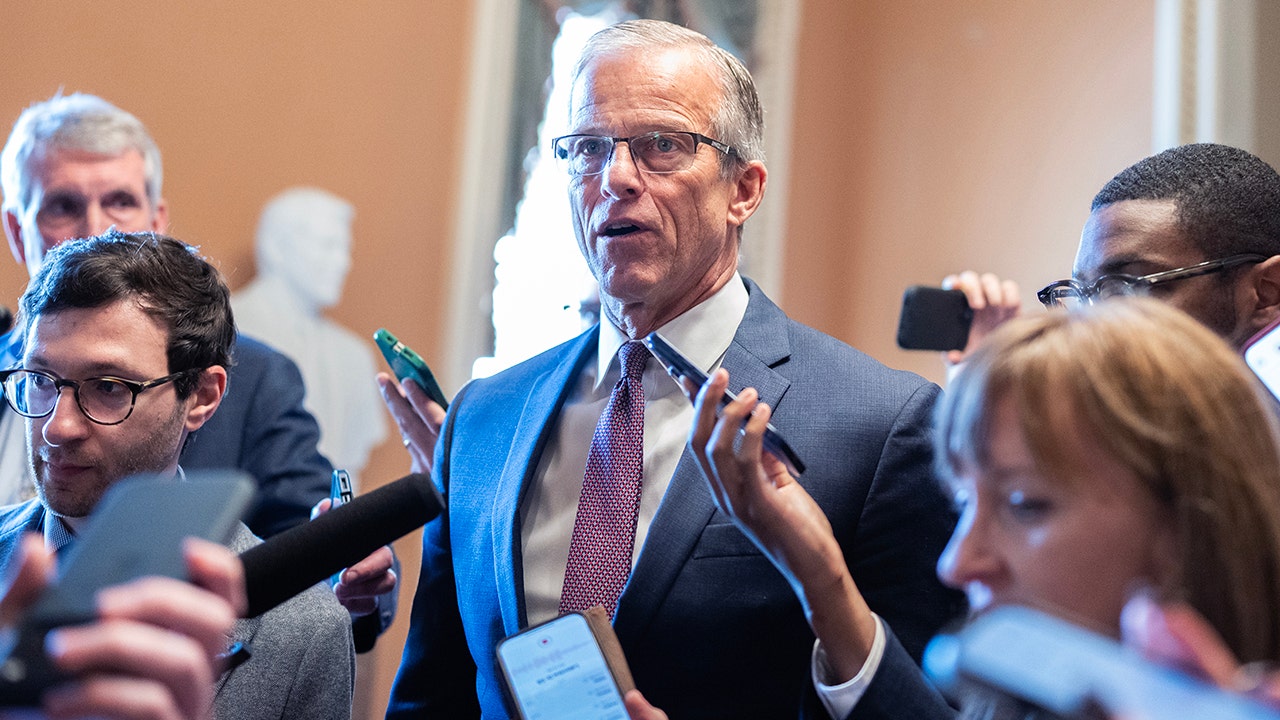 DHS funding deal reached in Senate, funds TSA and most of Homeland Security, but not ICE and Border Patrol