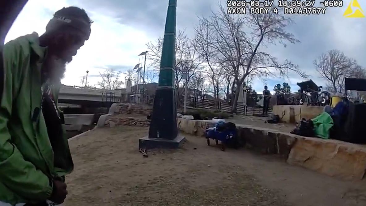 Cop’s skull smashed in creek fight as repeat offender suspect walks on $100 bond