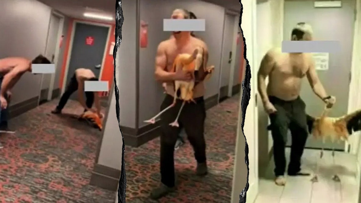 Tourist's bird-brained Vegas stunt with flamingo lands him behind bars on felony charges