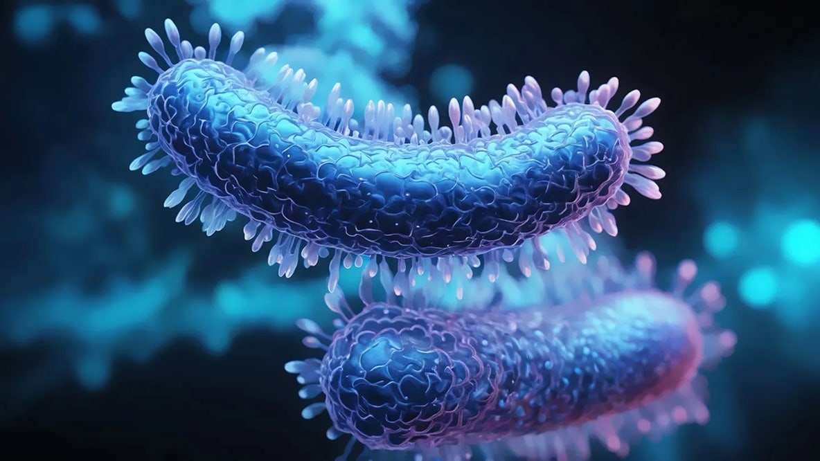 Tuberculosis cases rising in US as doctors warn of 'rebound effect'