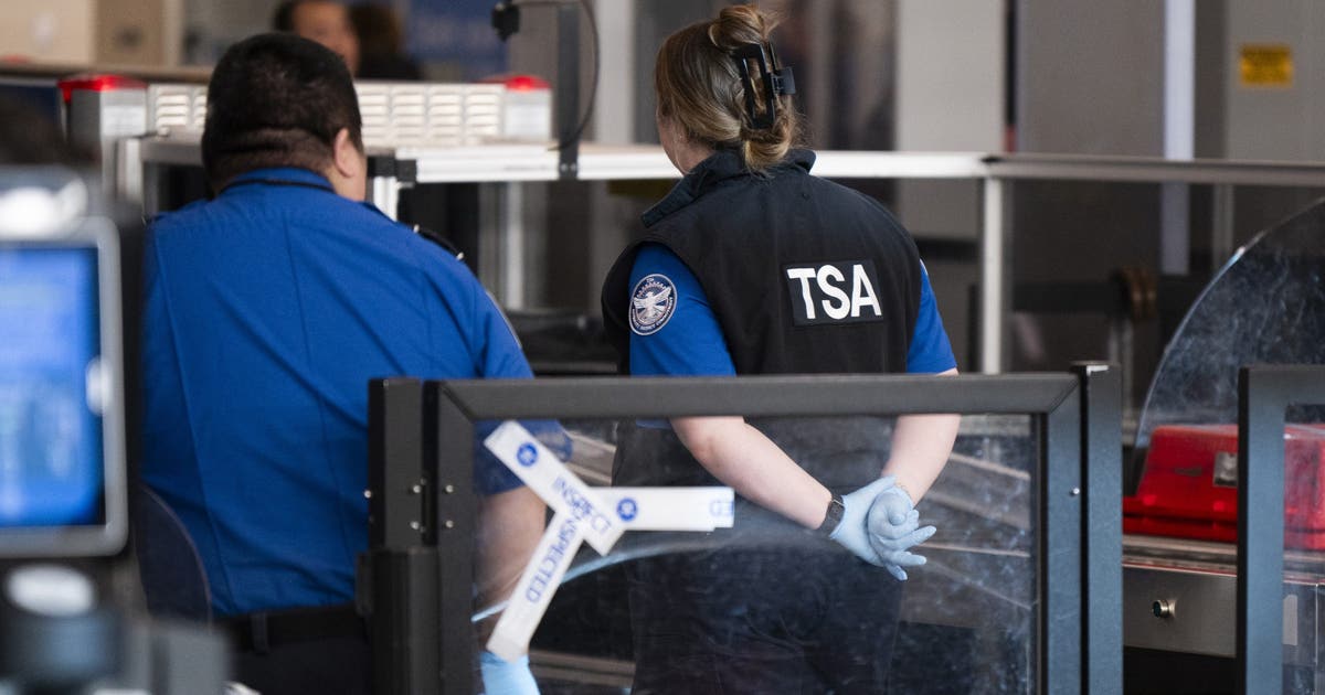 When will TSA agents be paid? Why Trump's order may not bring immediate relief to airports