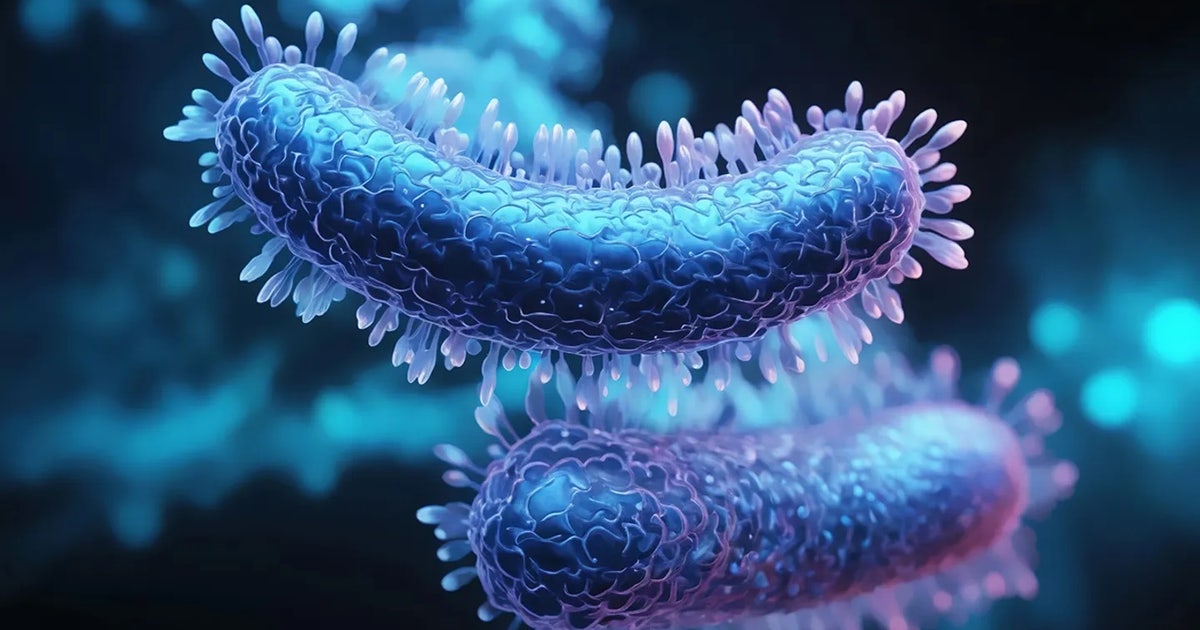 Tuberculosis cases rising in US as doctors warn of 'rebound effect'