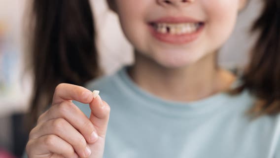The Tooth Fairy is paying out more than last year, survey finds