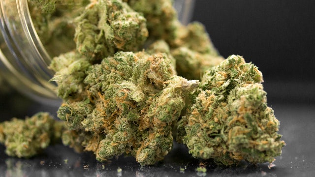 Cannabis compounds could reverse disease affecting one-third of adults