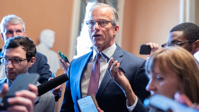 DHS funding deal reached in Senate, funds TSA and most of Homeland Security, but not ICE and Border Patrol