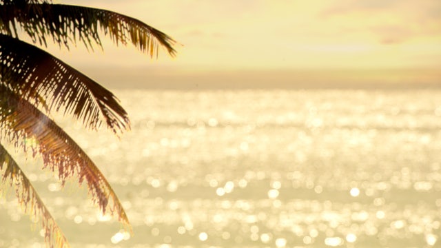 Spring breakers caught on camera viciously attacking man in overnight street brawl