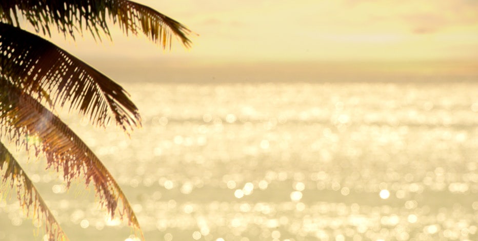 Spring breakers caught on camera viciously attacking man in overnight street brawl