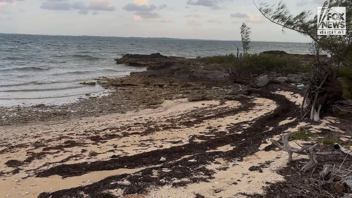 Witness reveals dramatic scene after missing American's husband washed ashore