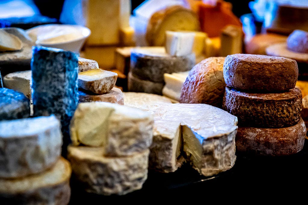 High-protein diet may help fight cholera, study finds