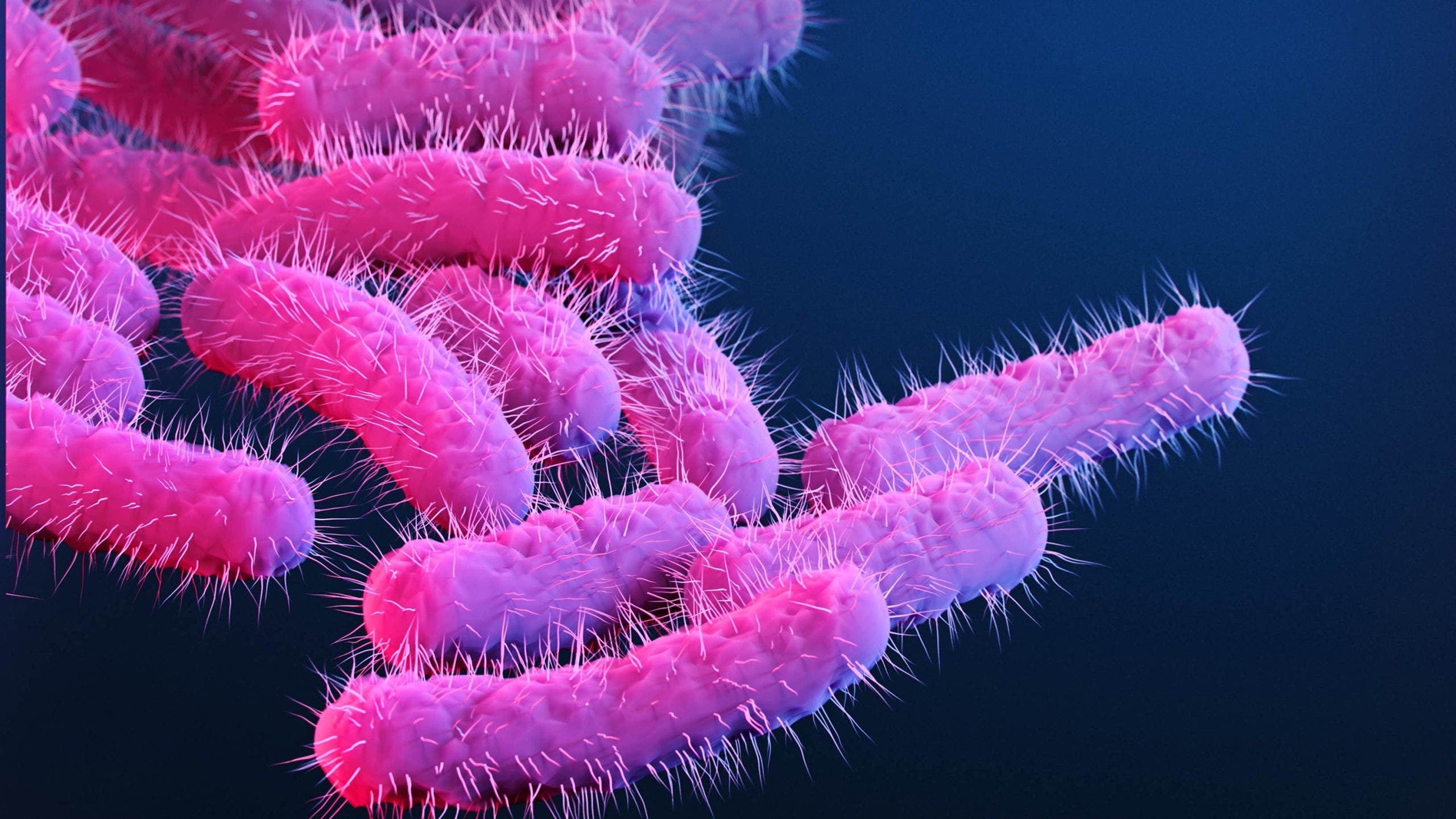 What is Shigella? CDC calls increase in infections a 'public health threat'