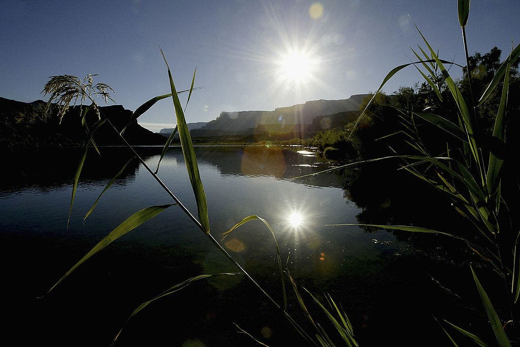 California man drowns in Colorado River after jumping in to retrieve hat