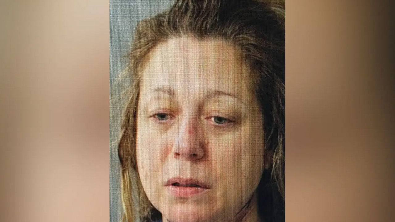 Mother from affluent Boston suburb accused of murdering two children during custody dispute