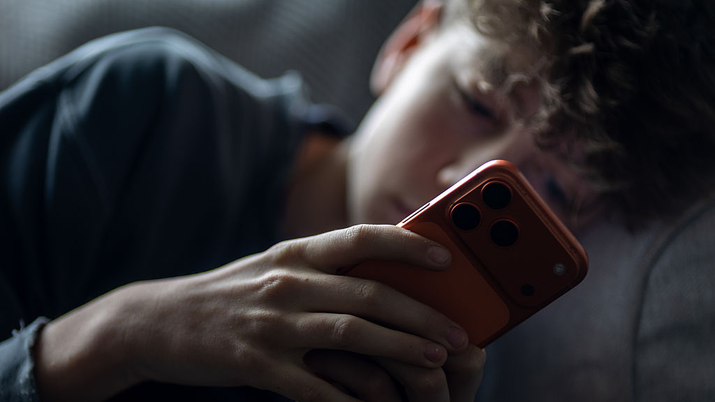 Countries that have banned social media for teenagers — See the world map