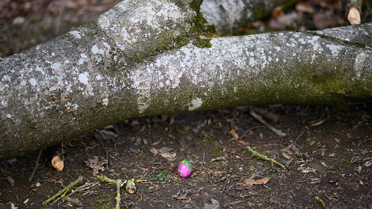 Baby among 3 dead in holiday horror as Easter egg hunt turns deadly