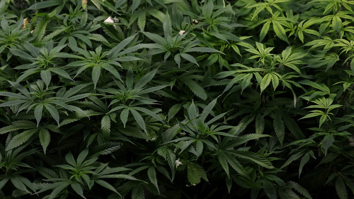 This common habit could be quietly hurting men’s fertility, experts warn