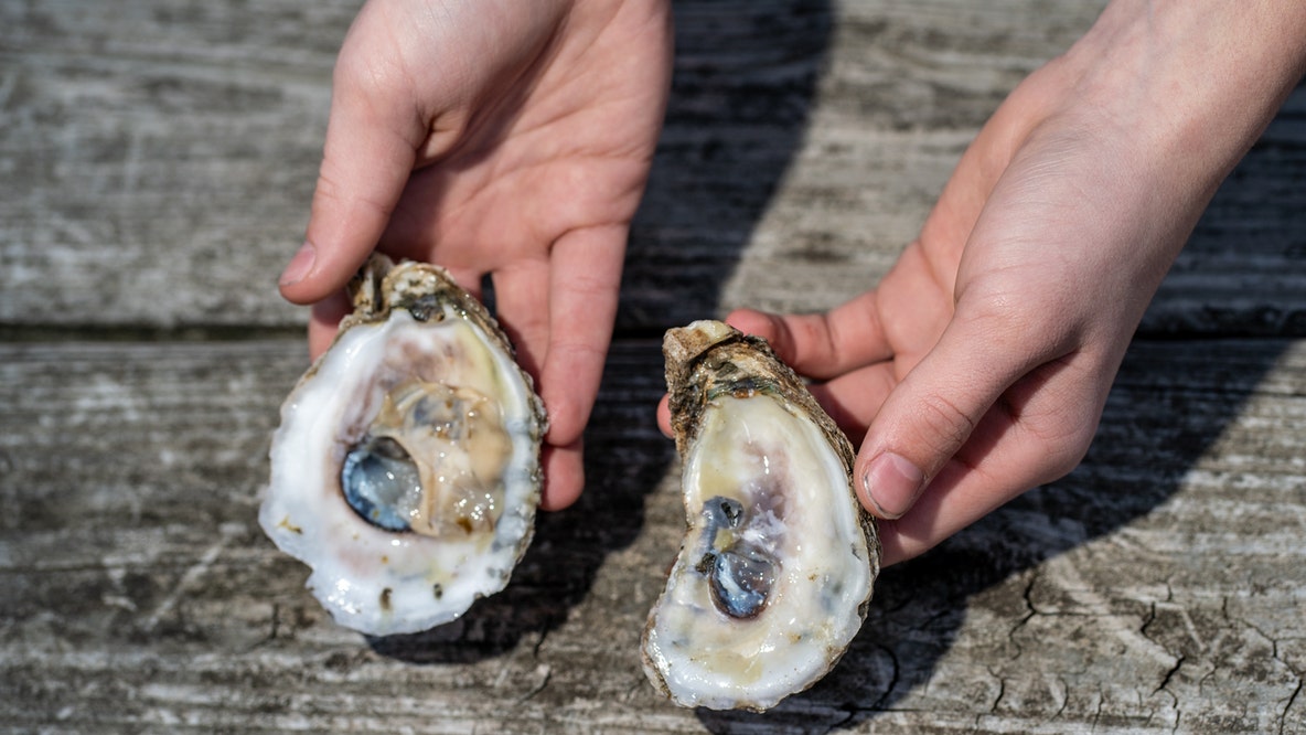 Shellfish recall issued over potential norovirus contamination