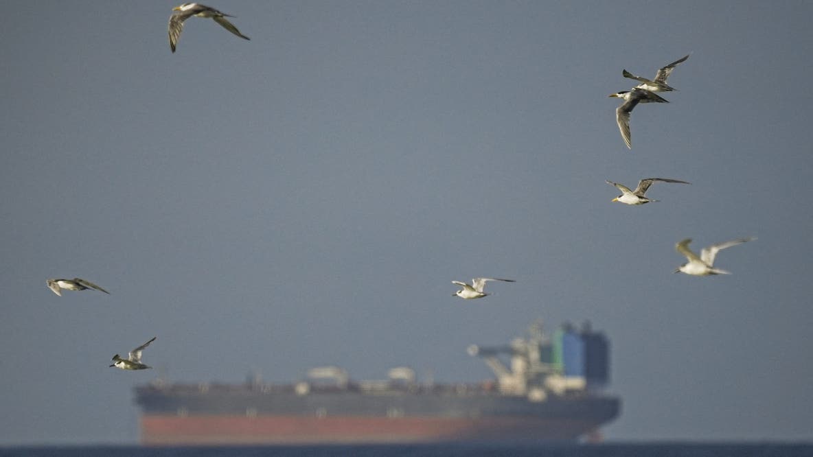 Iran war latest: Strait of Hormuz closed again due to US blockade, Iran says