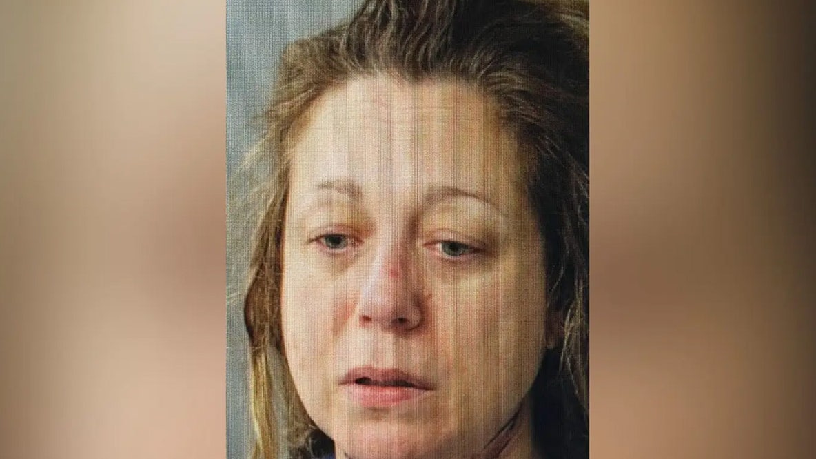 Mother from affluent Boston suburb accused of murdering two children during custody dispute