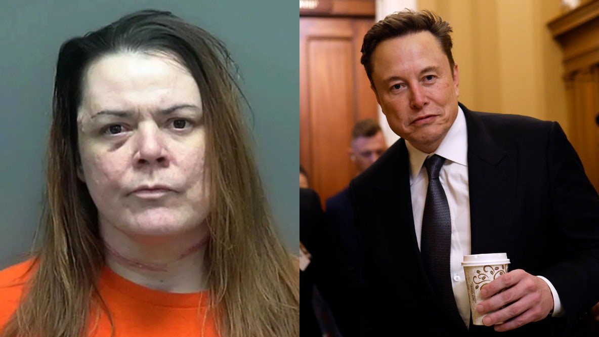 Wisconsin mother stabs teen daughter to death to 'protect' her from Elon Musk: authorities