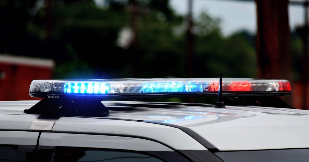 8 children killed across multiple Louisiana homes in domestic shooting spree