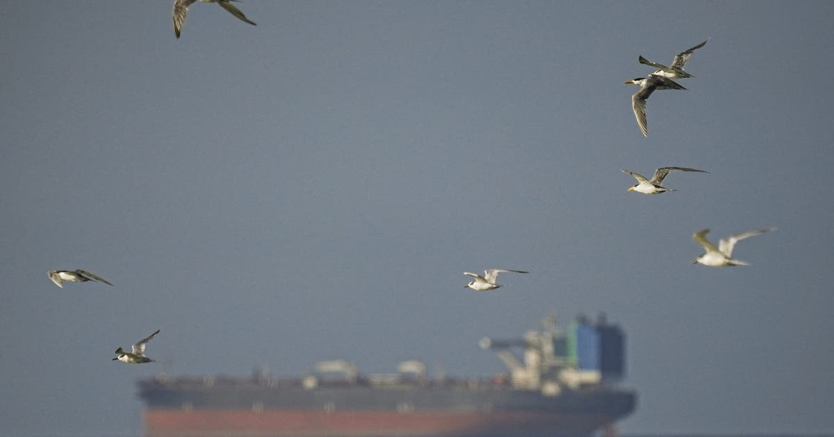 Iran war latest: Strait of Hormuz closed again due to US blockade