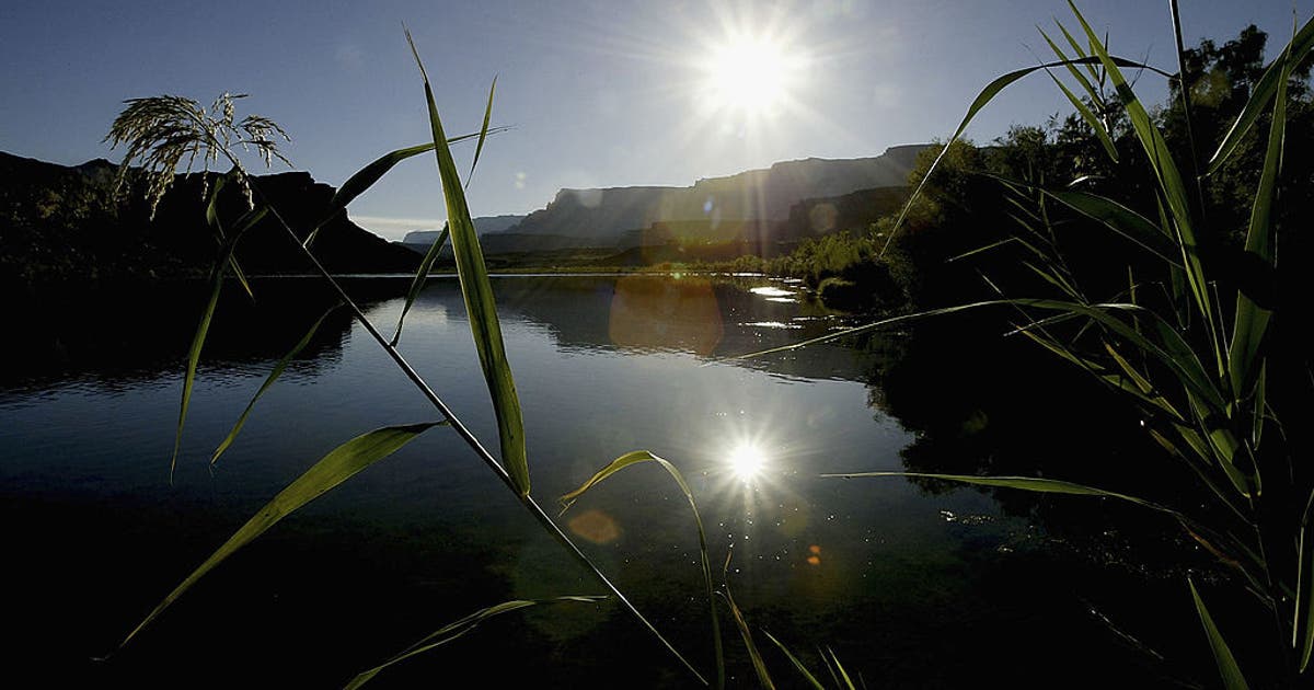 California man drowns in Colorado River after jumping in to retrieve hat