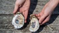 Shellfish recall issued over potential norovirus contamination