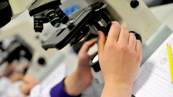 Trump dismisses some, if not all, of National Science Board, multiple reports say