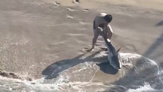 Fisherman risks life to rescue great white shark caught on fishing line: ‘He didn’t hesitate’