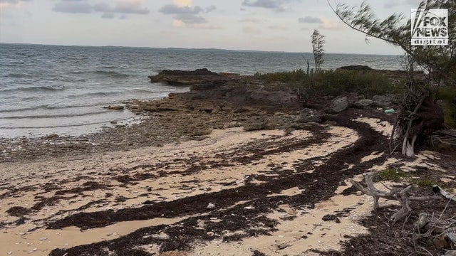 Witness reveals dramatic scene after missing American's husband washed ashore