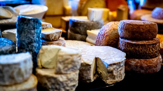 High-protein diet may help fight cholera, study finds