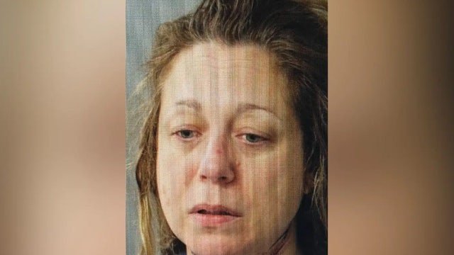 Mother from affluent Boston suburb accused of murdering two children during custody dispute