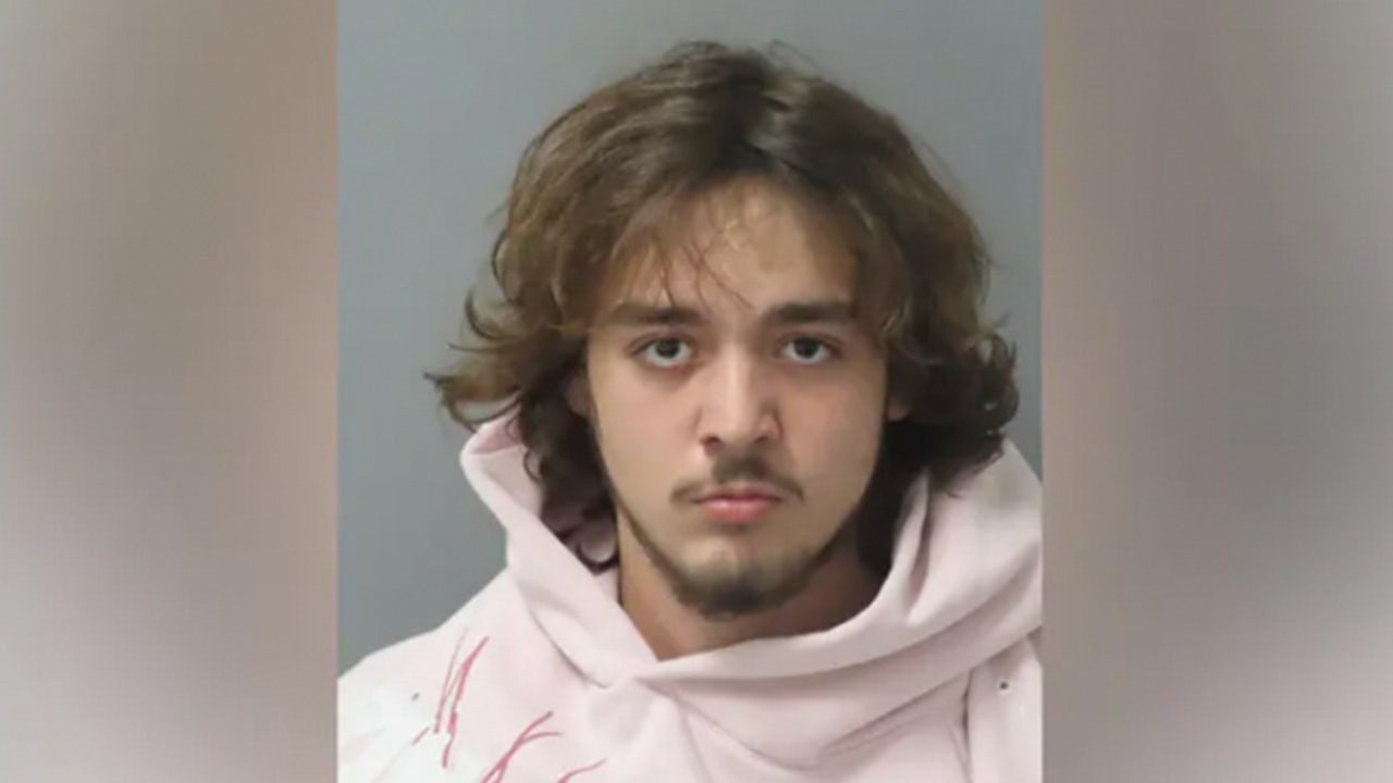 Pregnant woman driving home from prenatal visit shot during alleged road rage attack: police