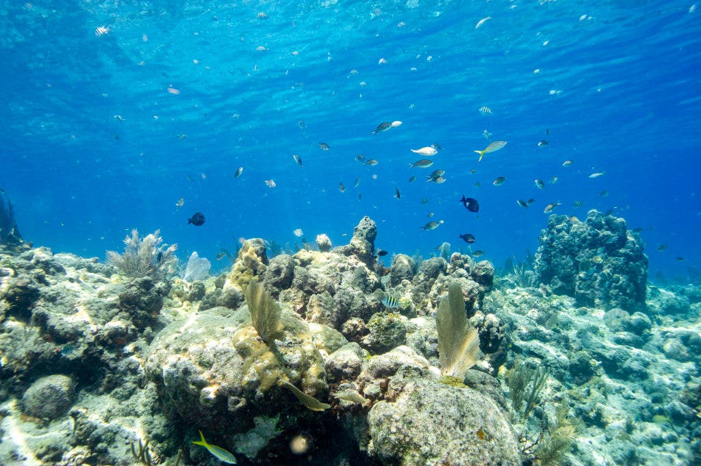 Woman dies after snorkeling trip off Key West