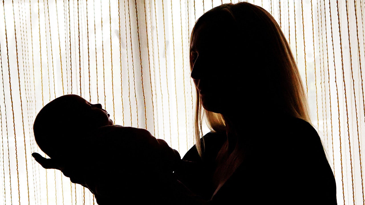 Surrogacy is ‘modern day slavery,’ Florida AG argues in push to stop the practice