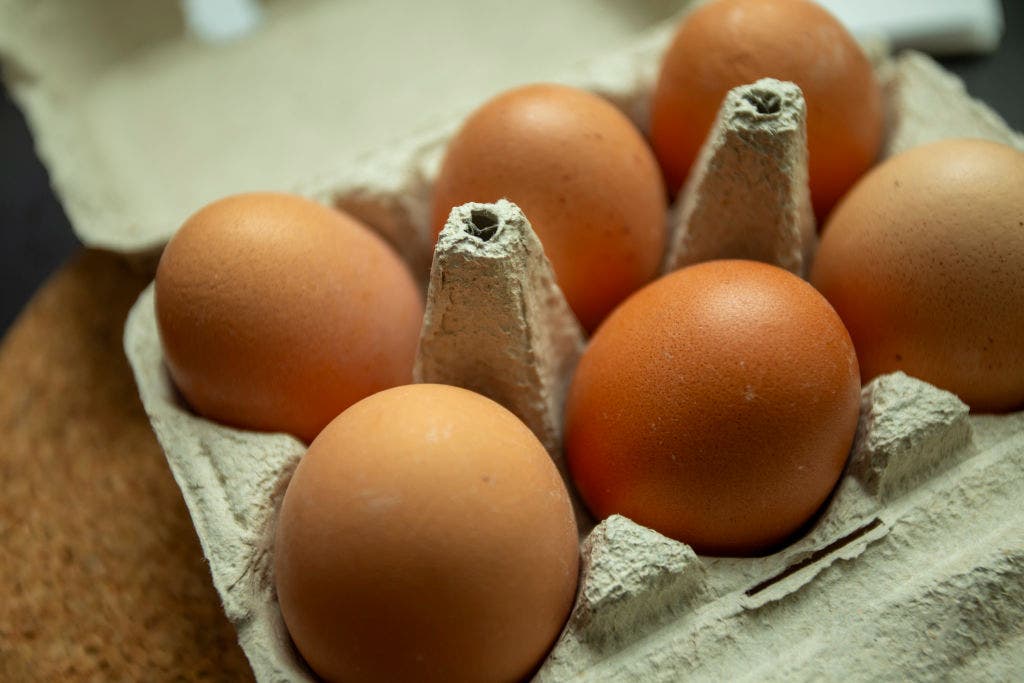 Alzheimer’s risk slashed by eating more of one common food, study suggests