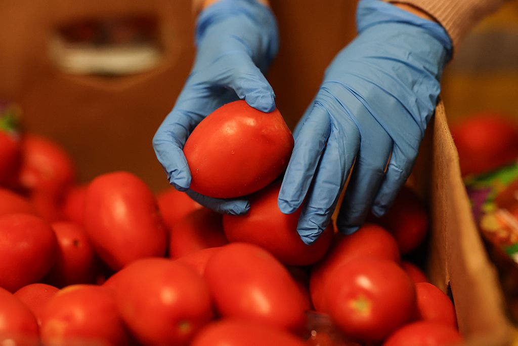 Tomato sticker shock: Here's how much prices have climbed