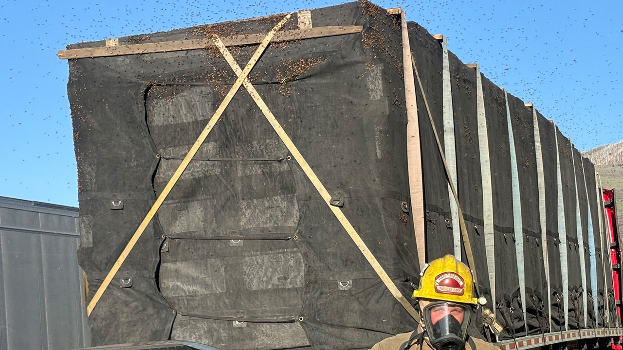 Utah firefighters help save millions of honeybees