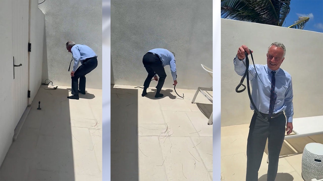 Watch: RFK Jr. wrangles snakes on Dr. Oz's patio