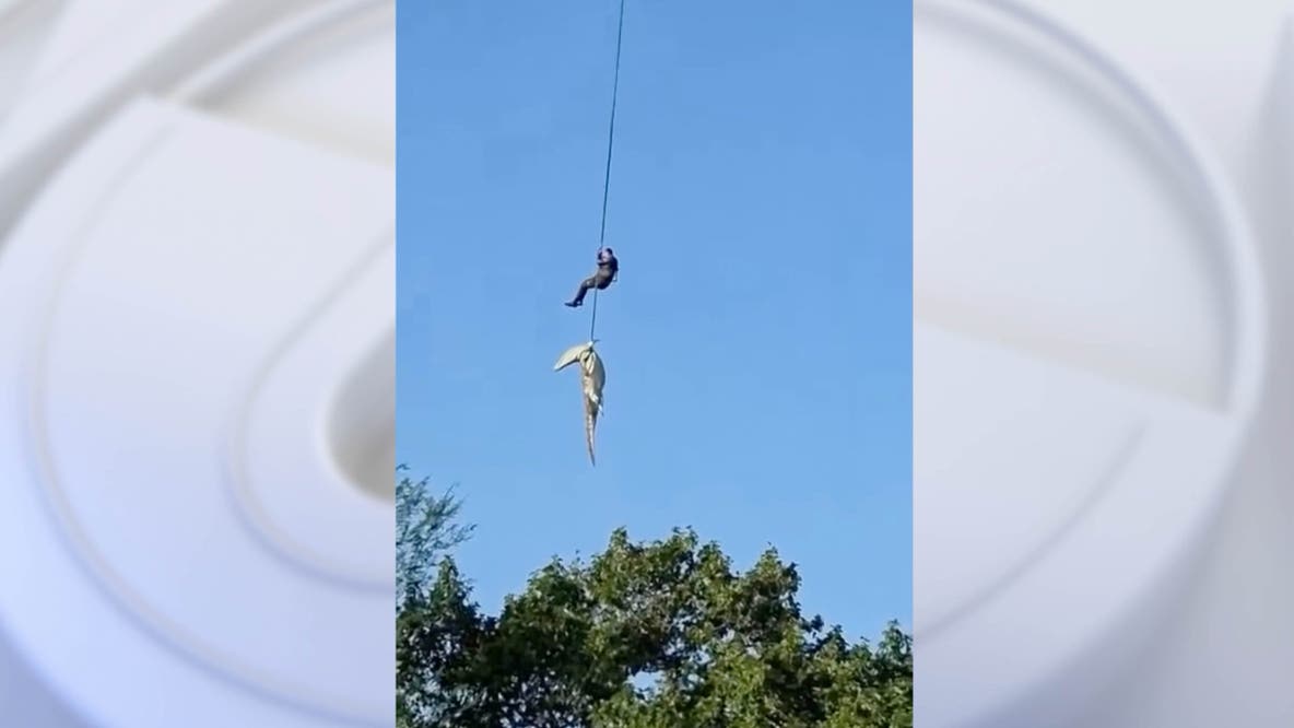 Officer retrieves crocodile believed to have eaten missing man